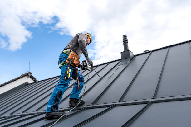 Best Skylight Installation and Repair  in Agua Fria, NM