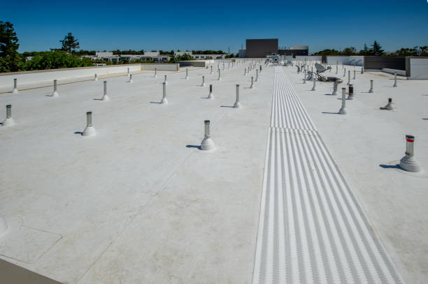 Best Roof Installation  in Agua Fria, NM